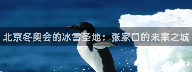 北京冬奥会的冰雪圣地：张家口的未来之城