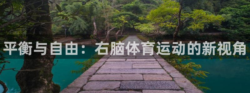 平衡与自由：右脑体育运动的新视角