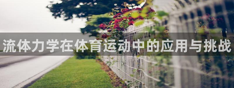 流体力学在体育运动中的应用与挑战