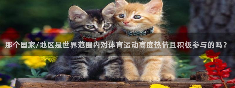那个国家/地区是世界范围内对体育运动高度热情且积极参与的吗？