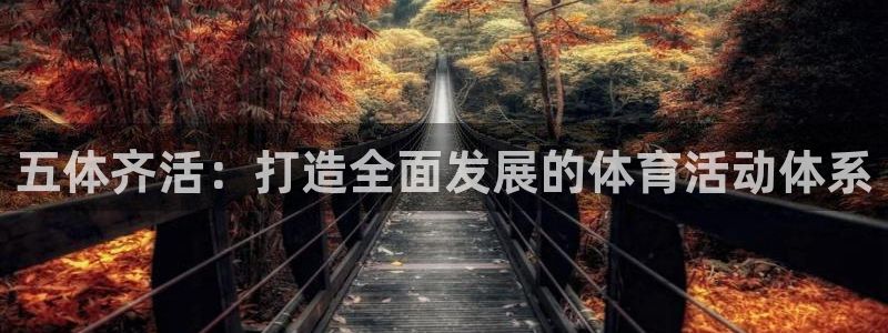 五体齐活：打造全面发展的体育活动体系