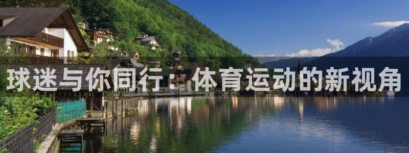 球迷与你同行：体育运动的新视角