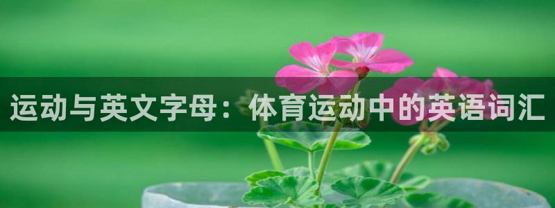 运动与英文字母：体育运动中的英语词汇