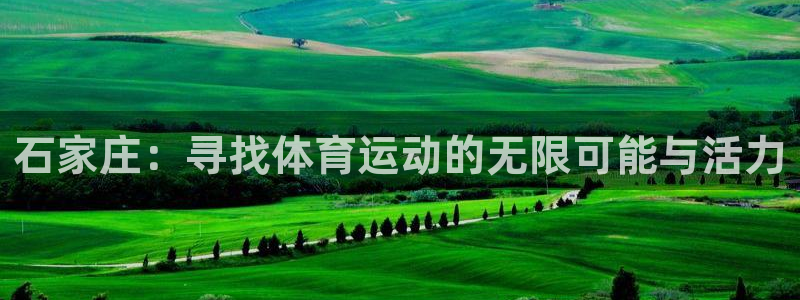 石家庄：寻找体育运动的无限可能与活力