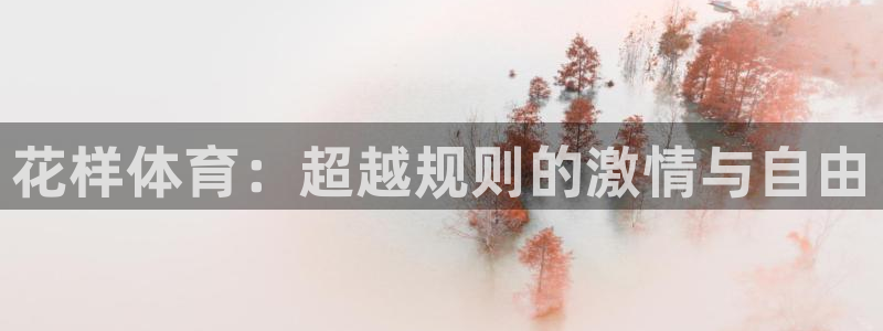 花样体育：超越规则的激情与自由