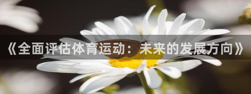 《全面评估体育运动：未来的发展方向》