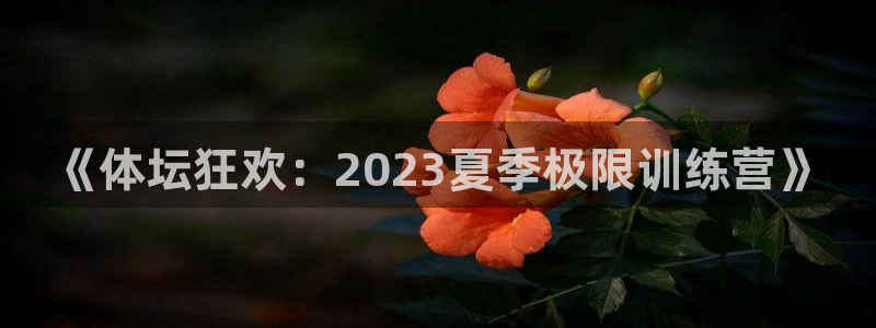 《体坛狂欢：2023夏季极限训练营》