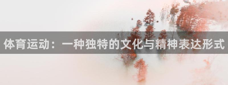 体育运动：一种独特的文化与精神表达形式