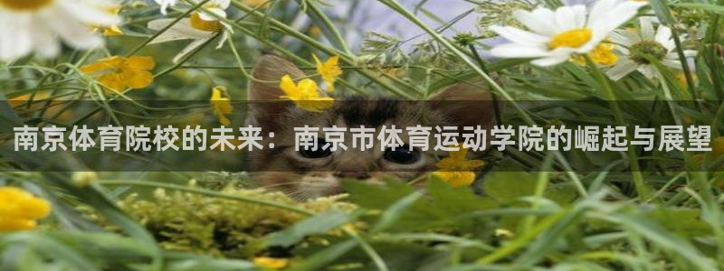 南京体育院校的未来：南京市体育运动学院的崛起与展望