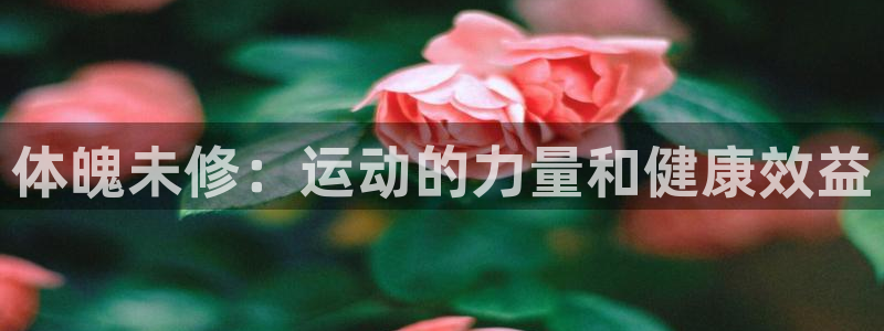 体魄未修：运动的力量和健康效益