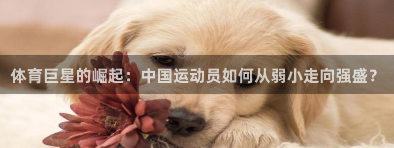 体育巨星的崛起：中国运动员如何从弱小走向强盛？