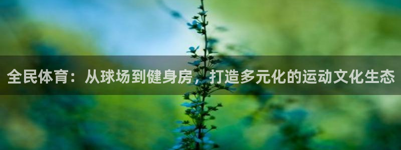 全民体育：从球场到健身房，打造多元化的运动文化生态