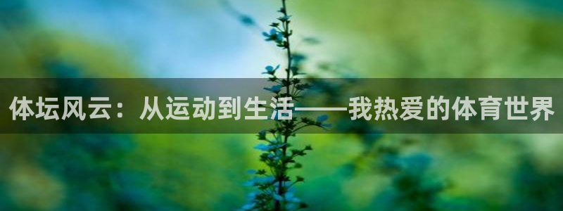 体坛风云：从运动到生活——我热爱的体育世界