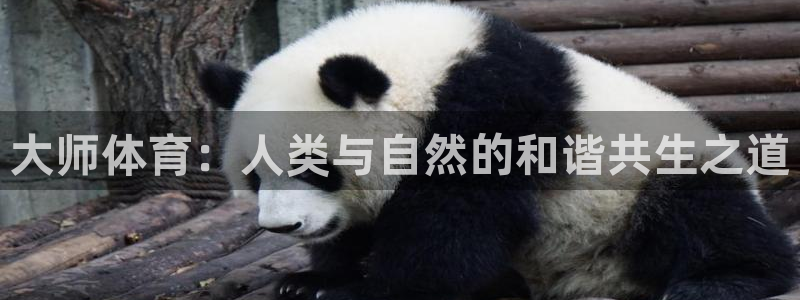 大师体育：人类与自然的和谐共生之道