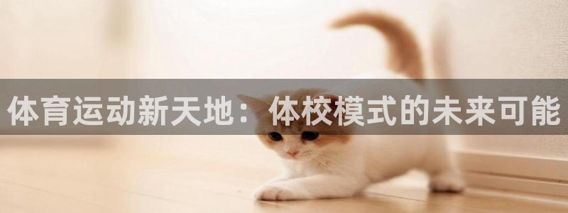 体育运动新天地：体校模式的未来可能