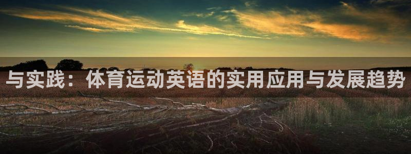与实践：体育运动英语的实用应用与发展趋势