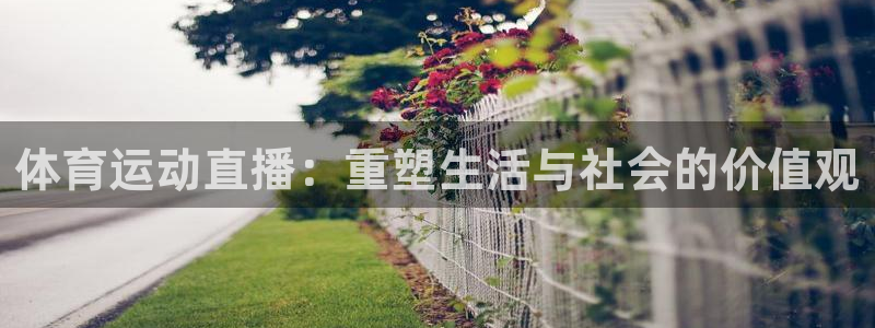 体育运动直播：重塑生活与社会的价值观