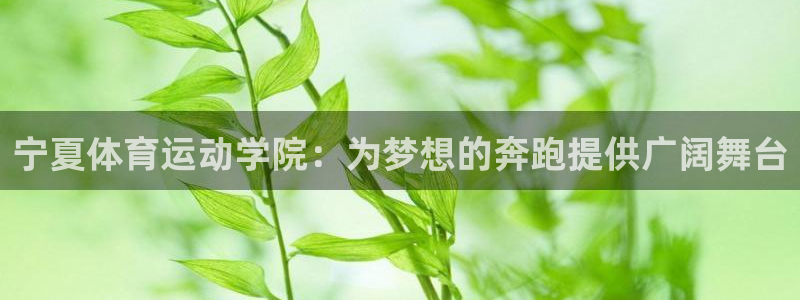 宁夏体育运动学院：为梦想的奔跑提供广阔舞台