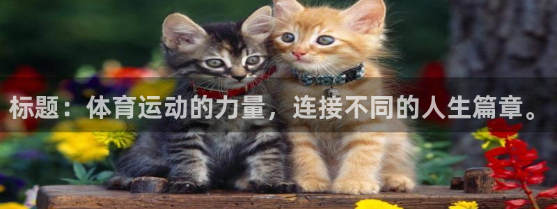 标题：体育运动的力量，连接不同的人生篇章。