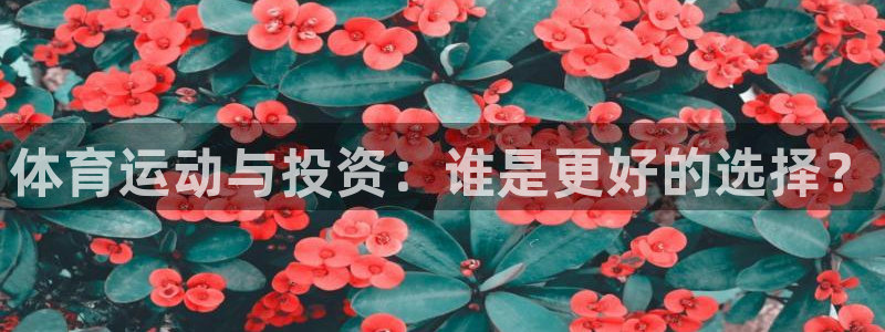 体育运动与投资：谁是更好的选择？